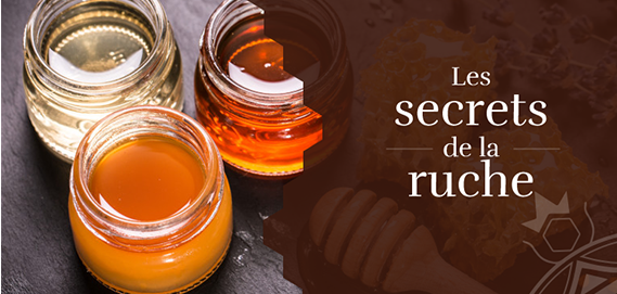secrets-ruche.png